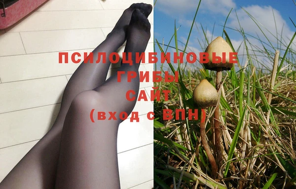 spice Армянск